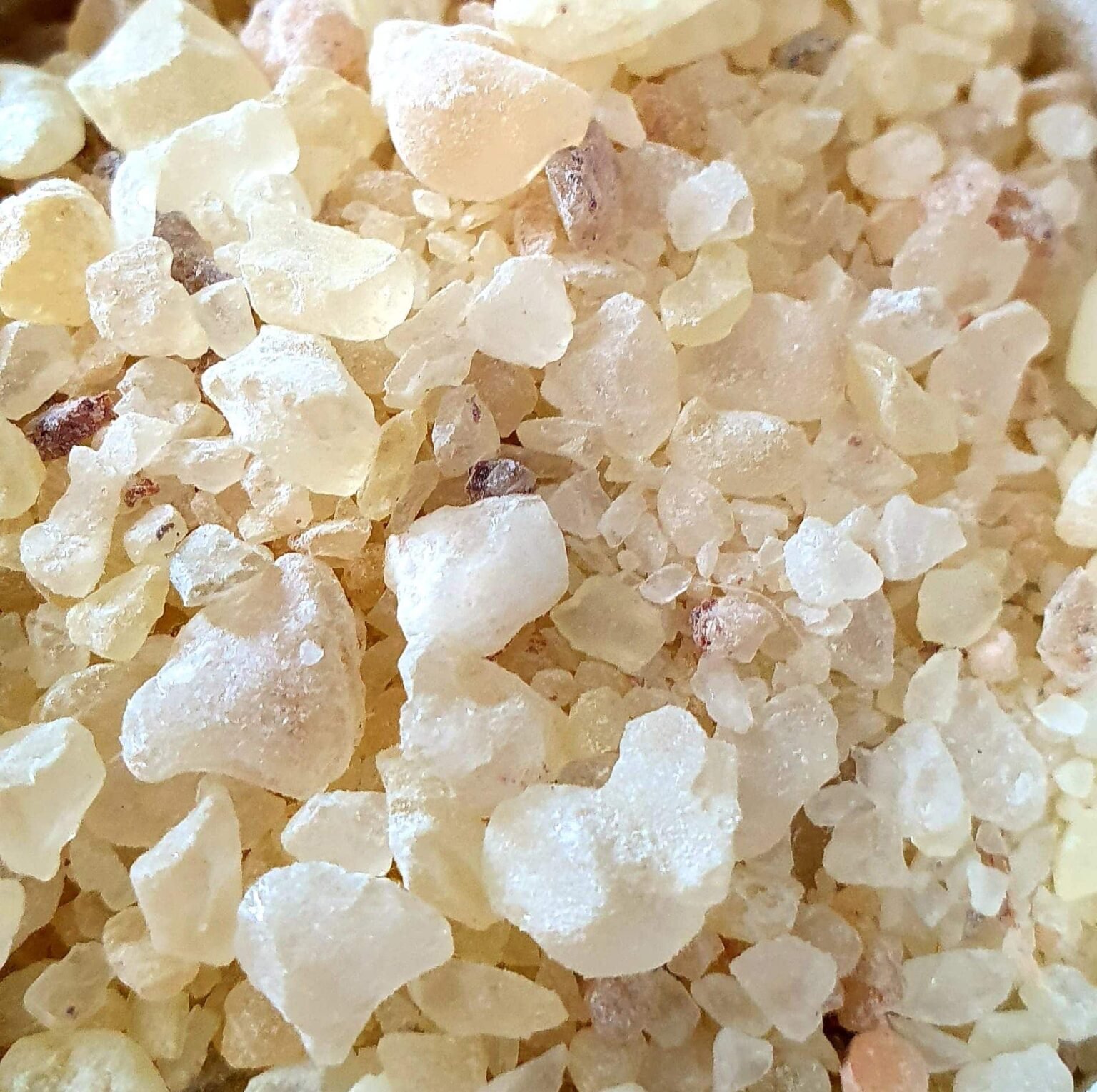 Encens Résine Dammar – 30GR - Magical Bear Shop