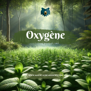 Bougie Artisanale Naturelle Parfumée "Oxygène"