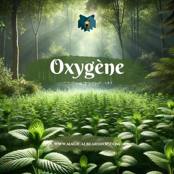 Bougie Artisanale Naturelle Parfumée "Oxygène"
