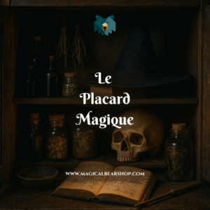 Bougie Artisanale Naturelle Parfumée "Le Placard Magique"